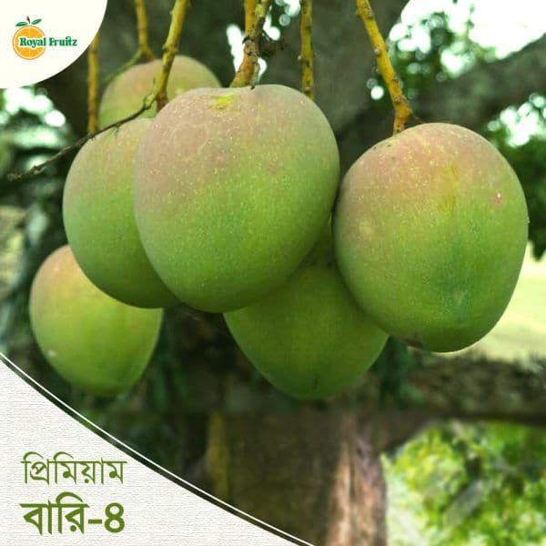 Premium Bari 4 – 10Kg